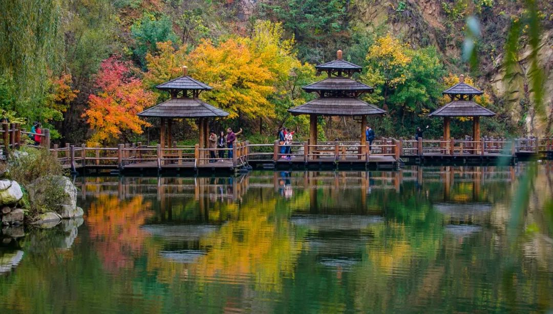 入秋济南好去处,济南秋季看花打卡地