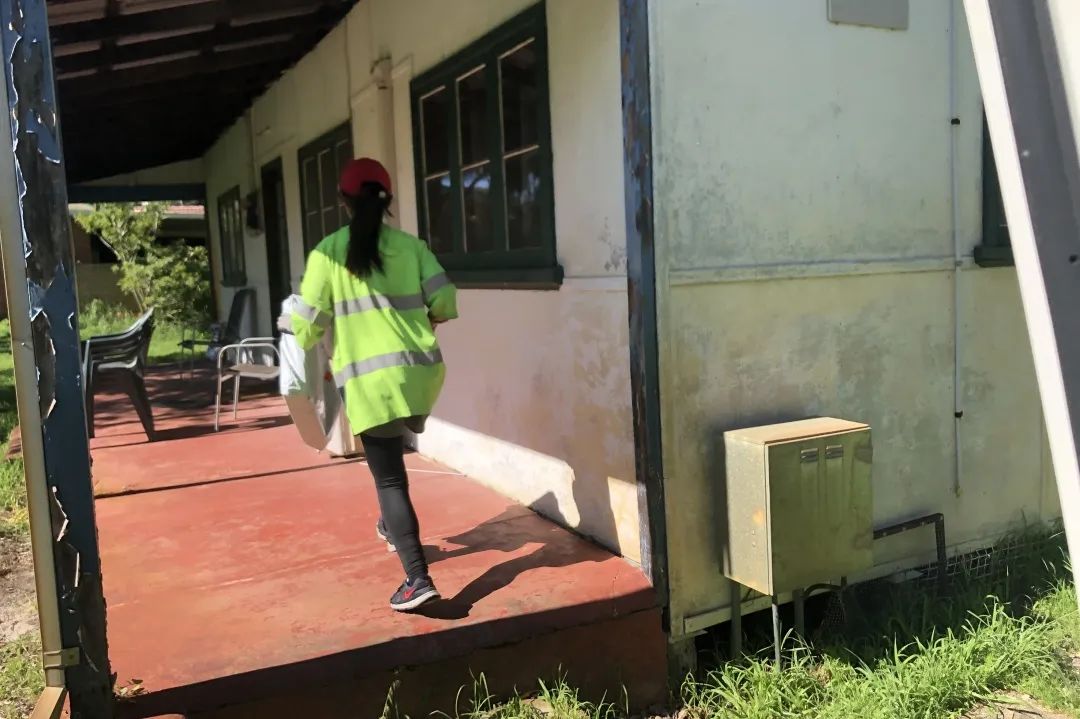 90后小荷在澳洲:环游26国,在990平房子里,种菜喂鸡养蜜蜂