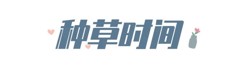 2021泳衣推荐显瘦遮肉防晒,保守又好看的泳衣显瘦仙气