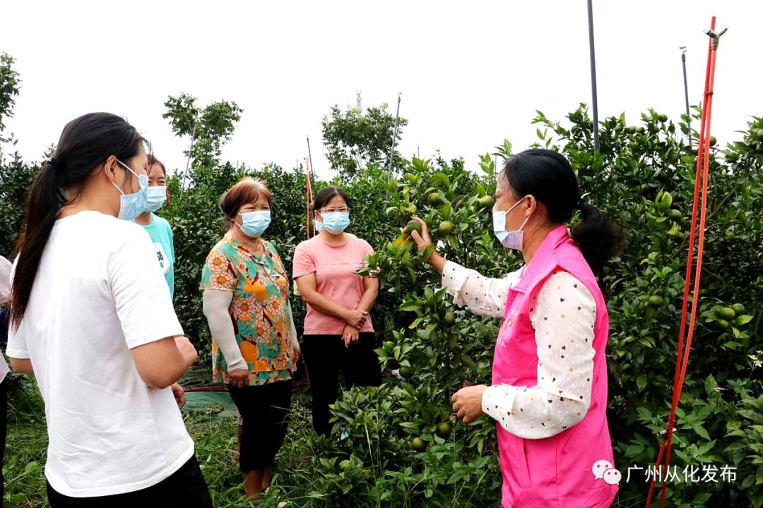 非凡十年丨从化区妇联：​奋力谱写新时代从化妇女儿童全面发展新篇章