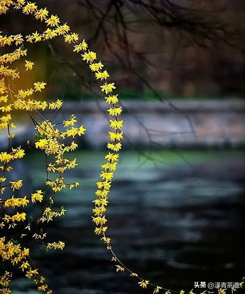 写春天的著名唐诗宋词加赏析,十首描写春天的宋词