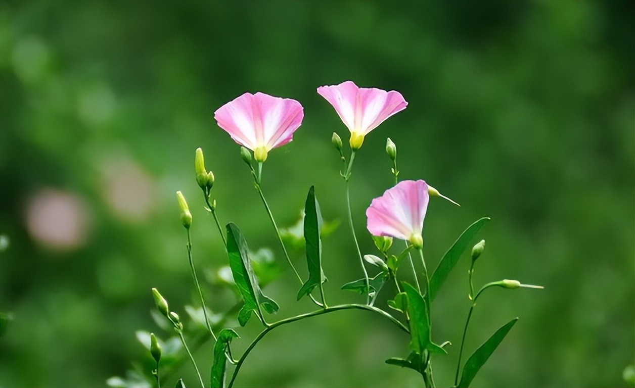 2023年努力赚钱,2023年努力赚钱然后好好照顾自己