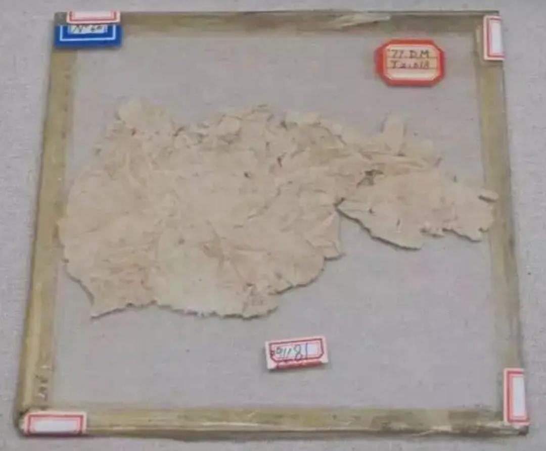 纸发明者蔡伦是哪里人,纸是东汉蔡伦造的吗