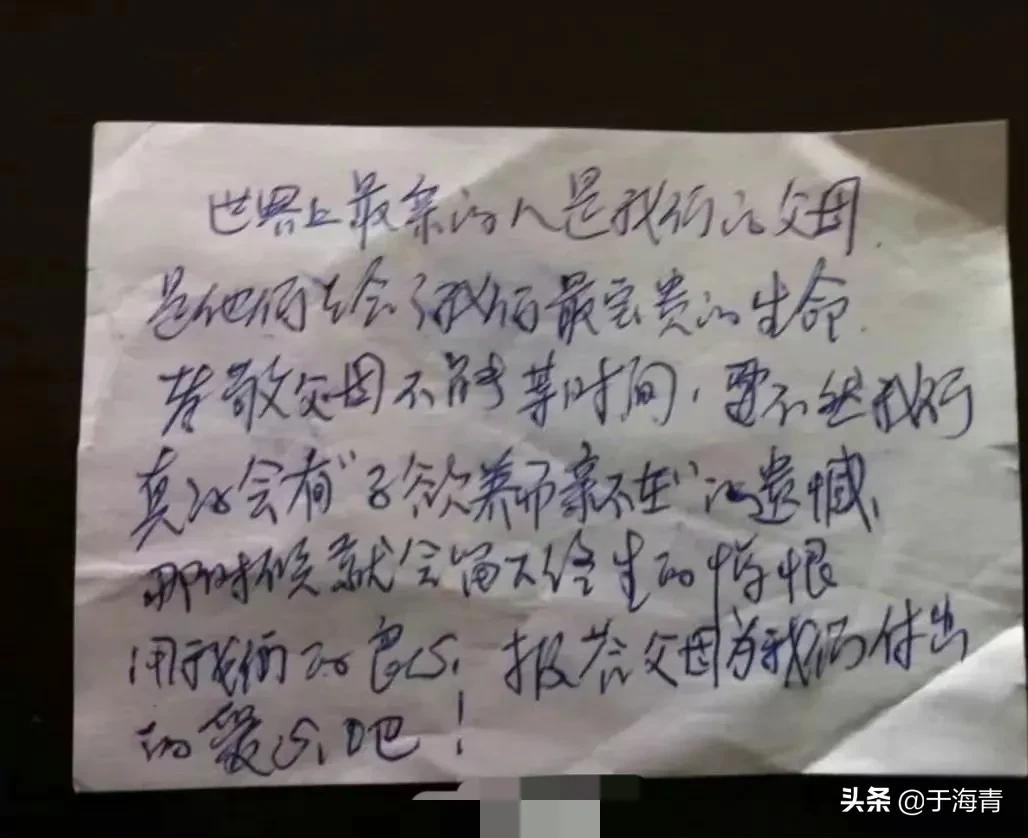 于海青简介,于海青是干什么的