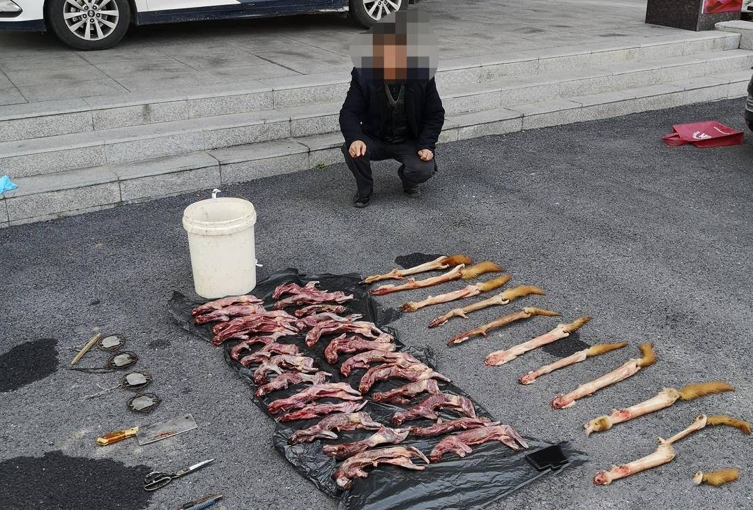 黄鼠狼会记仇是封建迷信吗,黄鼠狼白天有什么征兆
