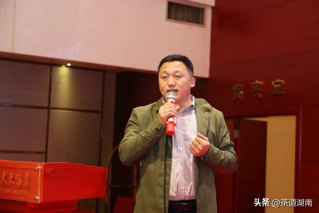 湖南长沙县春茶,2022湖南春茶总结