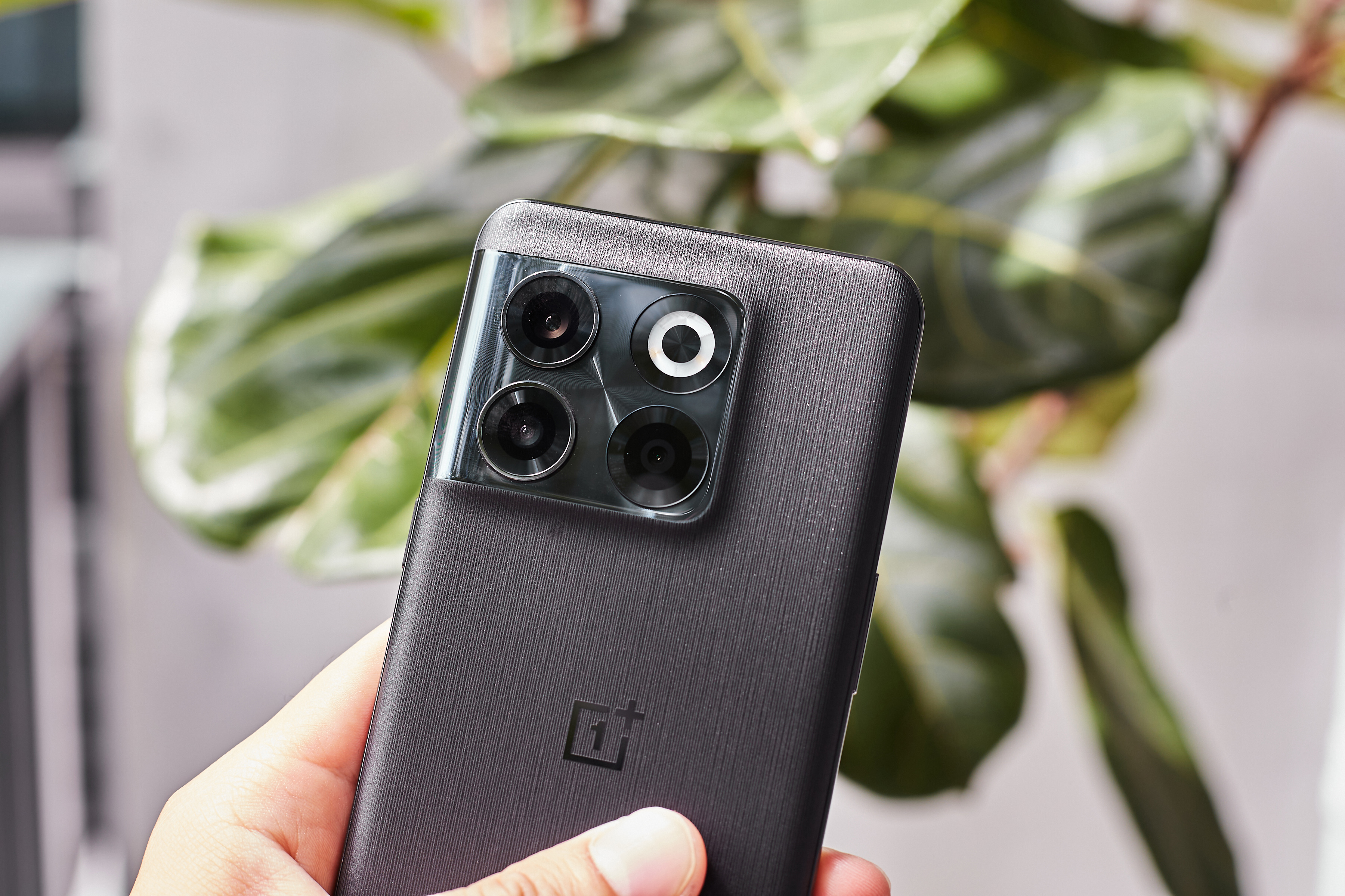 为什么这么多人买一加acepro,一加acepro评价