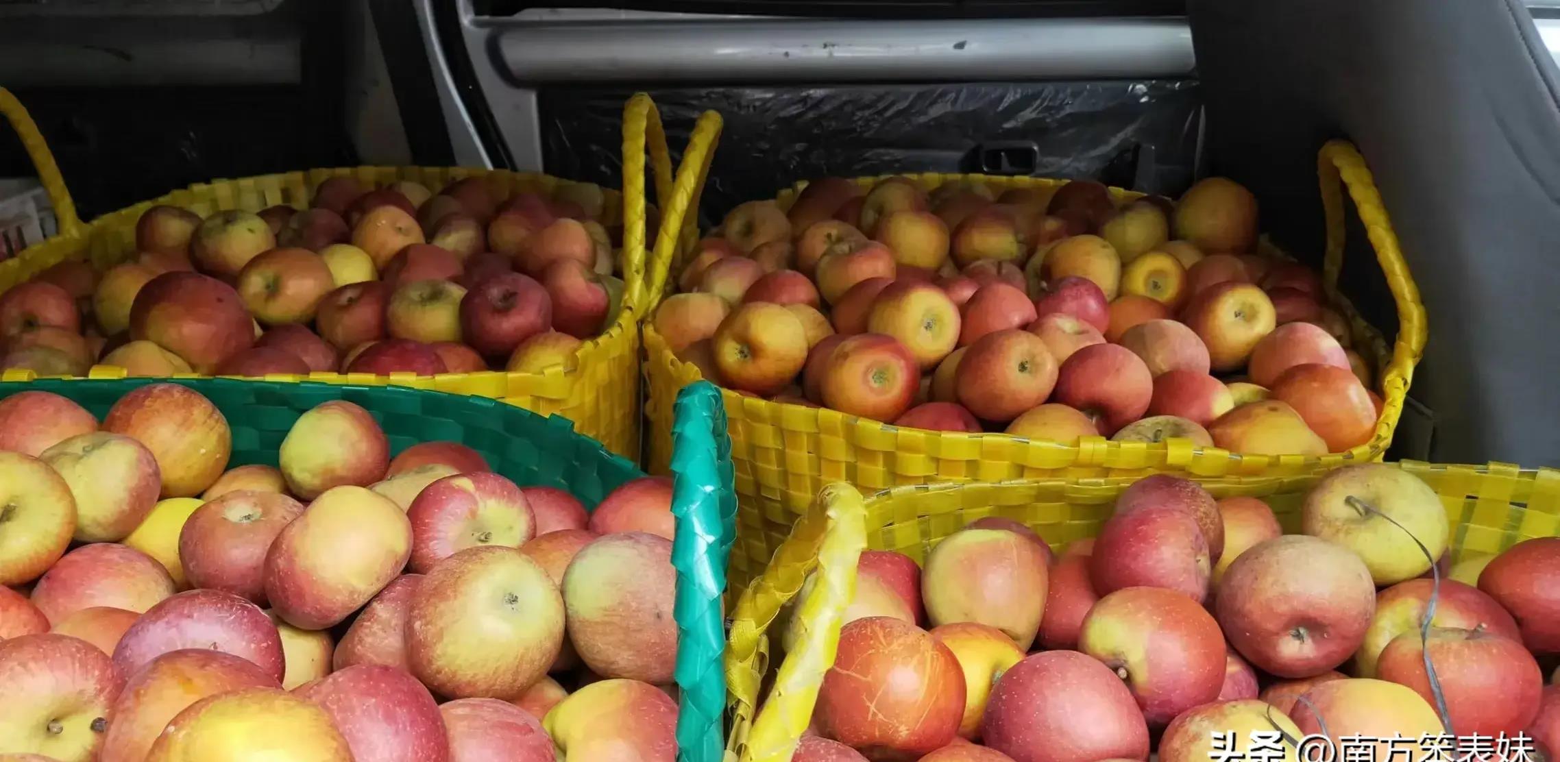 卖水果一天能赚500吗,手把手教你卖水果赚钱