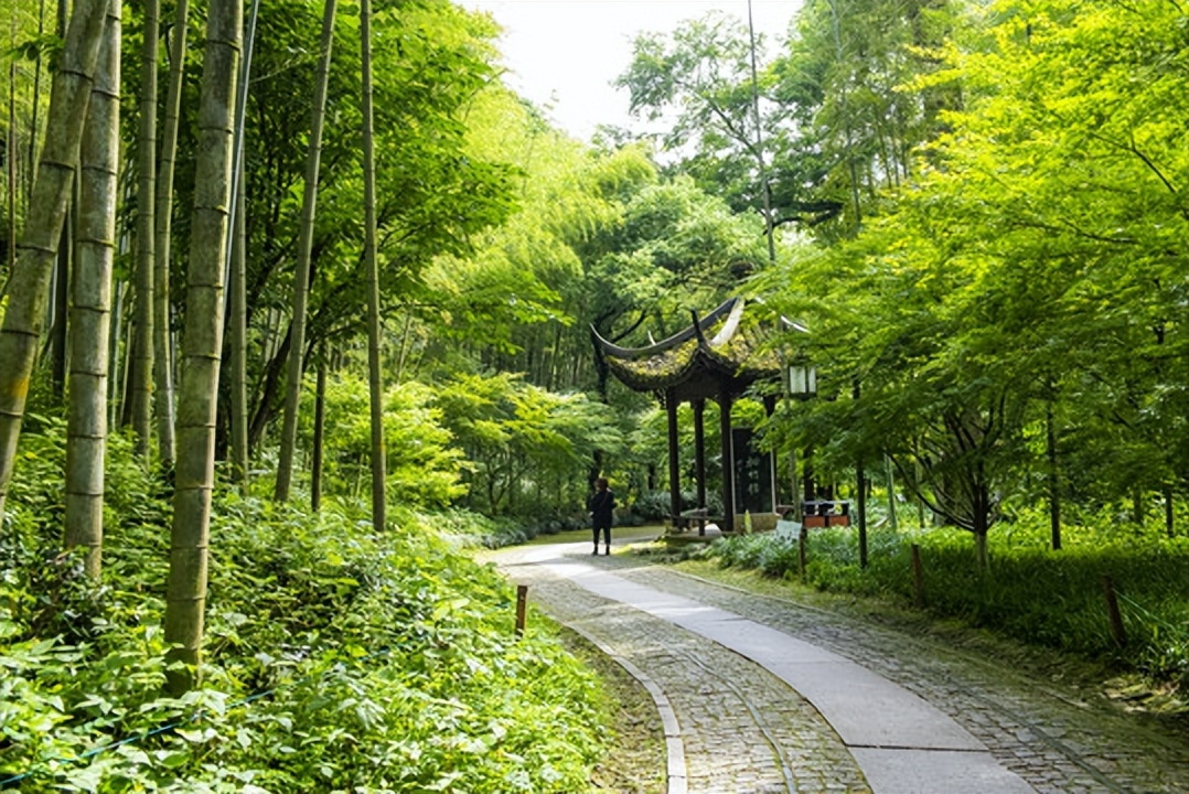 杭州适合散心的风景区推荐,杭州放松休闲场所
