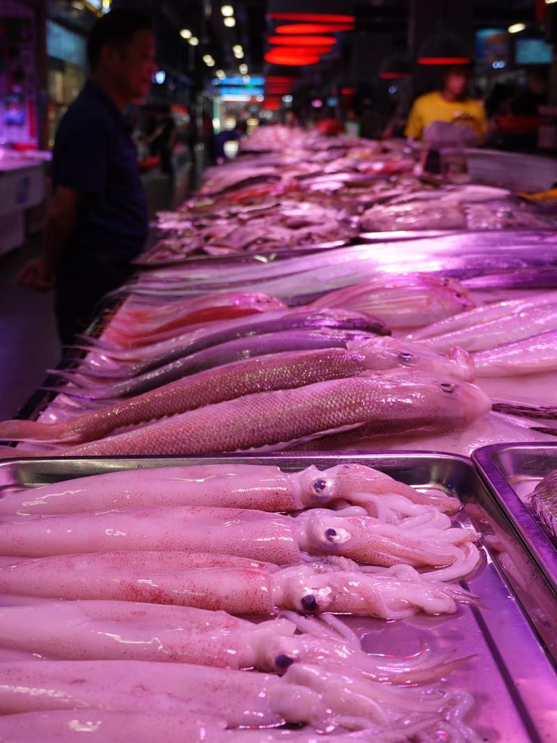 深圳市蛇口攻略,深圳海岛蛇口