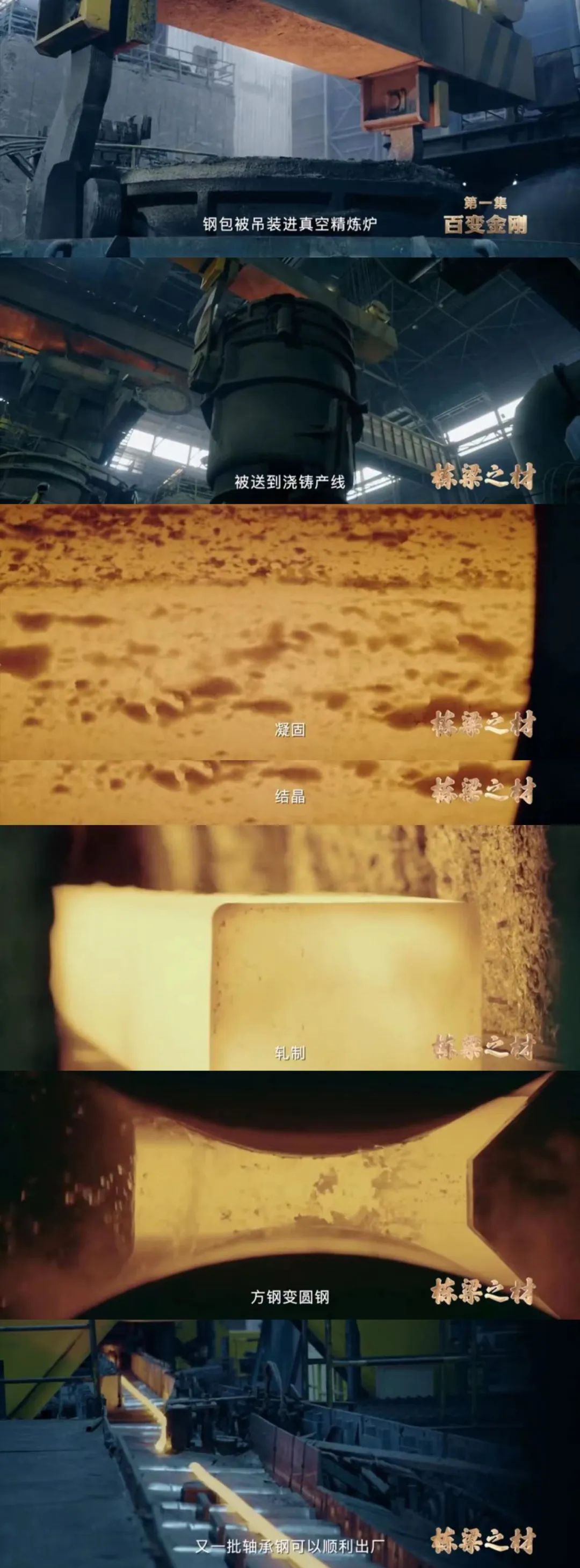 央视纪录片《栋梁之材》,央视栋梁之材