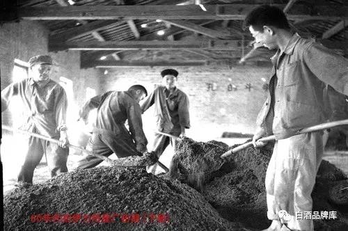 新疆伊力特最新分析,新疆伊力特酒厂最新消息
