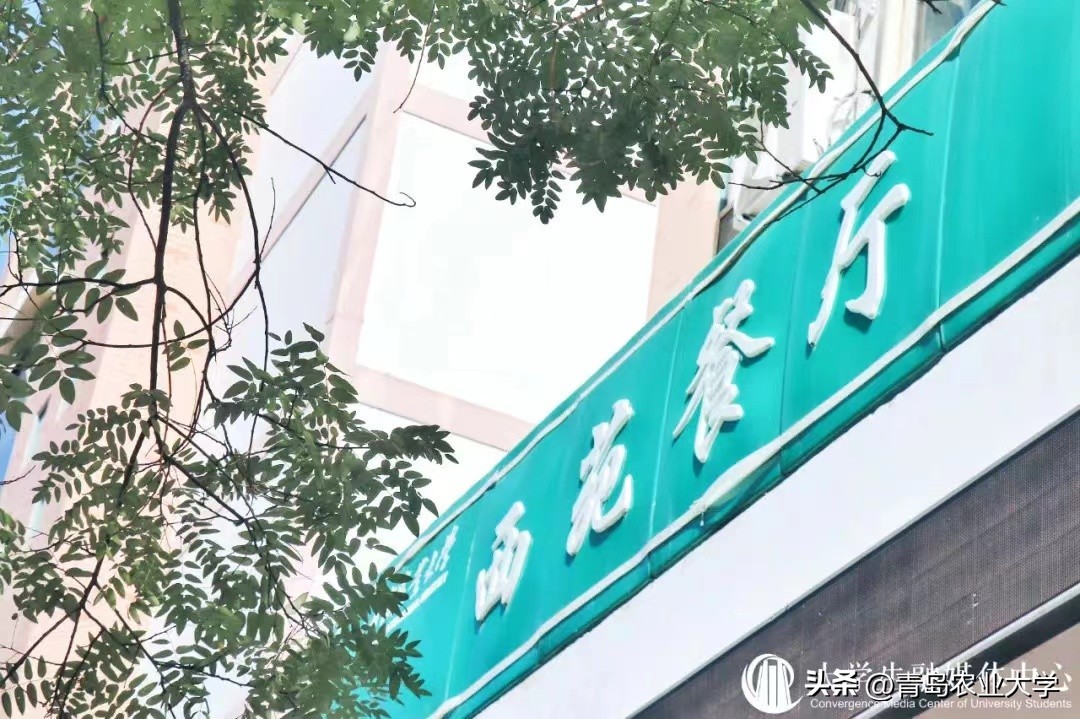 又到毕业季承载着满满的回忆,毕业季带着你们开启新的旅途