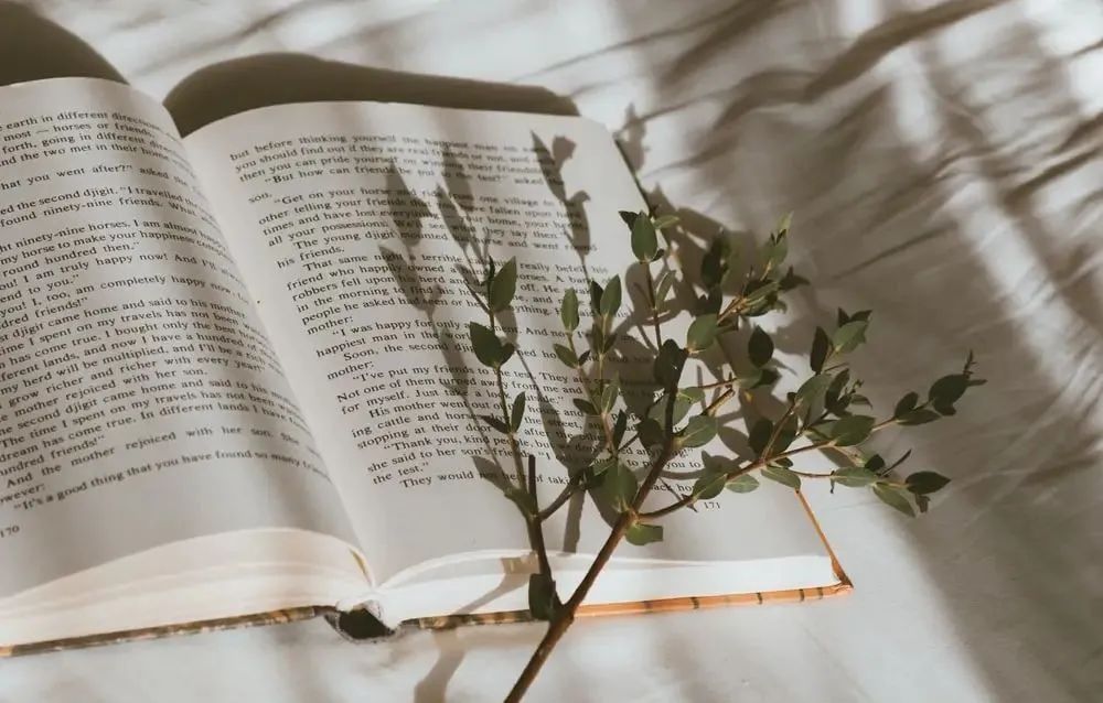 庄绎传|英译汉，理解是关键