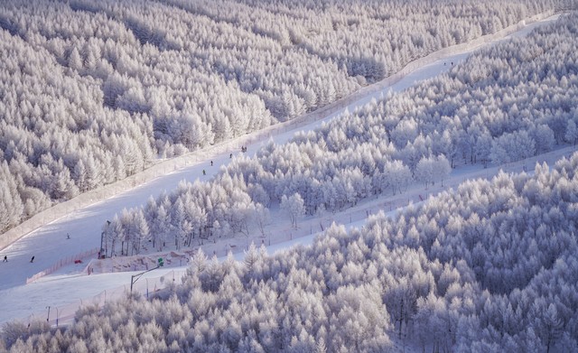 崇礼万龙滑雪场的介绍,崇礼万龙滑雪场