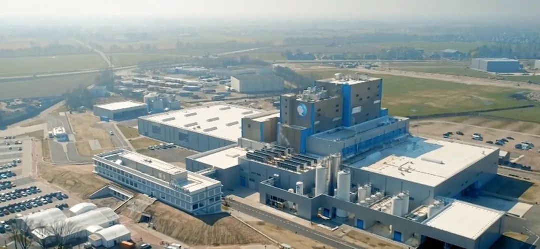 谁在说谎儿童版,爱他奶粉有虫