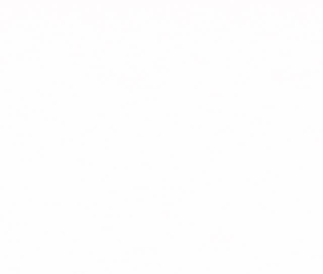 超低折扣最高可达1折,新航机票打折