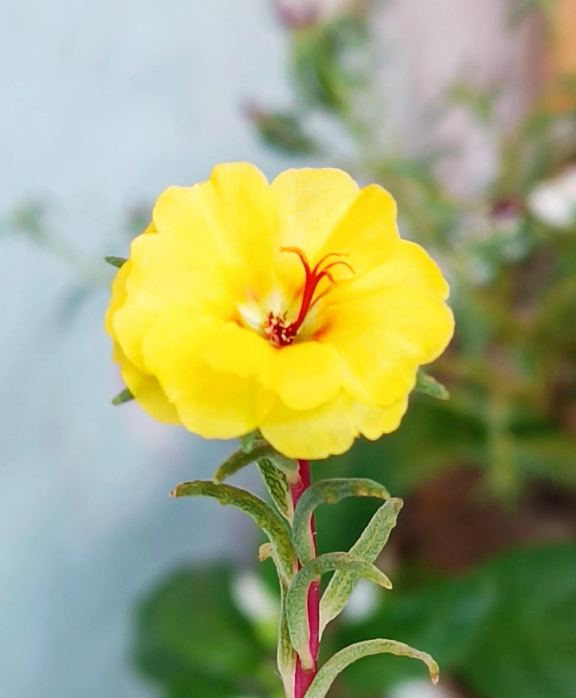 打卡抄书的意义,打卡抄书活动