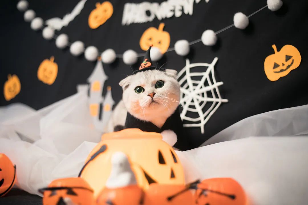 跨境电商最受欢迎的产品是什么,阿里国际跨境电商卖什么产品最好