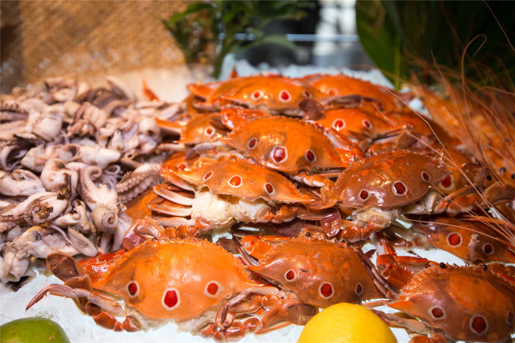 广州南沙金茂万豪酒店附近景点,广州南沙金茂万豪酒店怎么进去