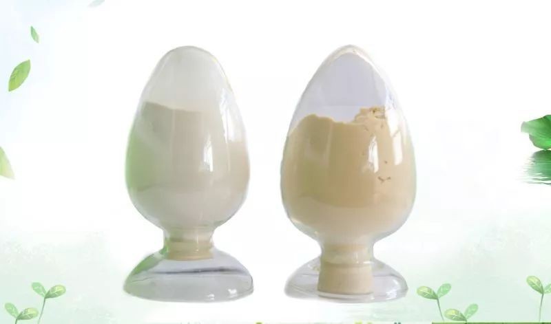 山东卫康众生壳寡糖,山东卫康生物壳寡糖