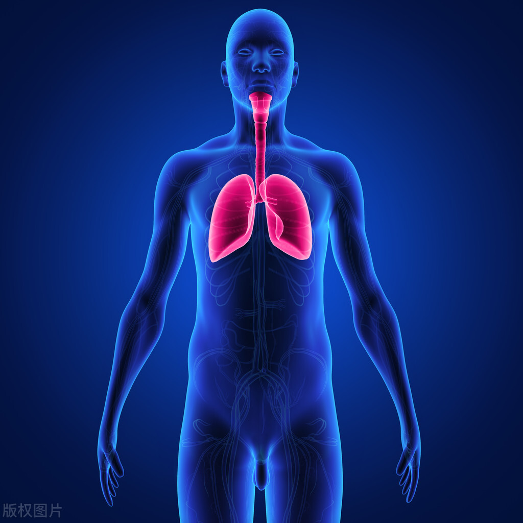 肺心病是怎么得的呢,肺心病反复发作你知道为什么吗