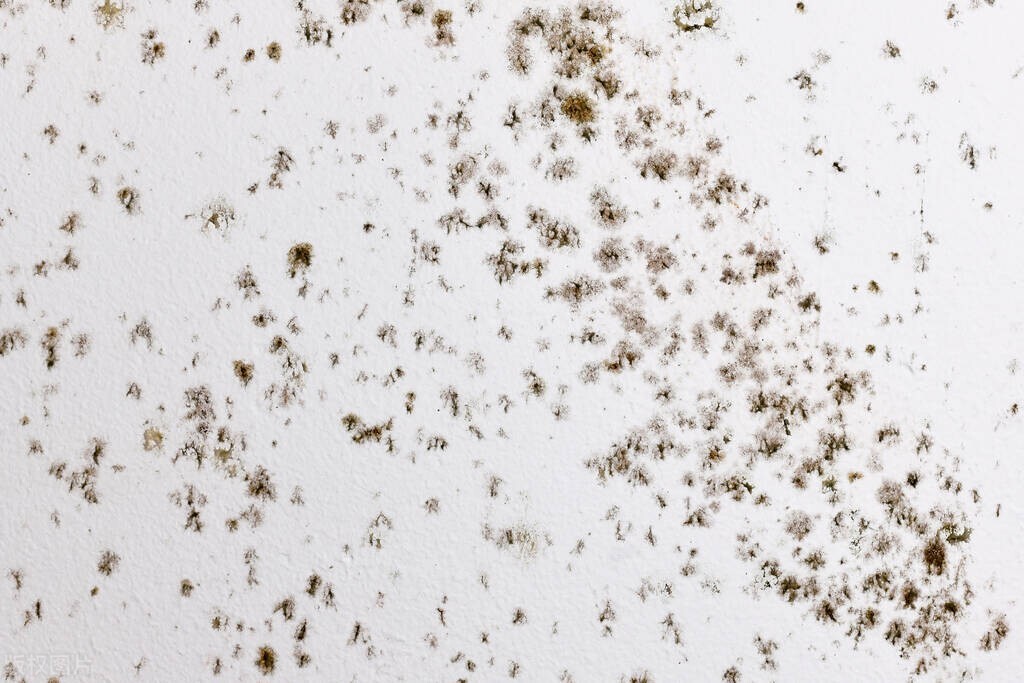 白t恤上的吃饭污渍怎样洗净,纯棉白t恤顽固污渍怎么去除