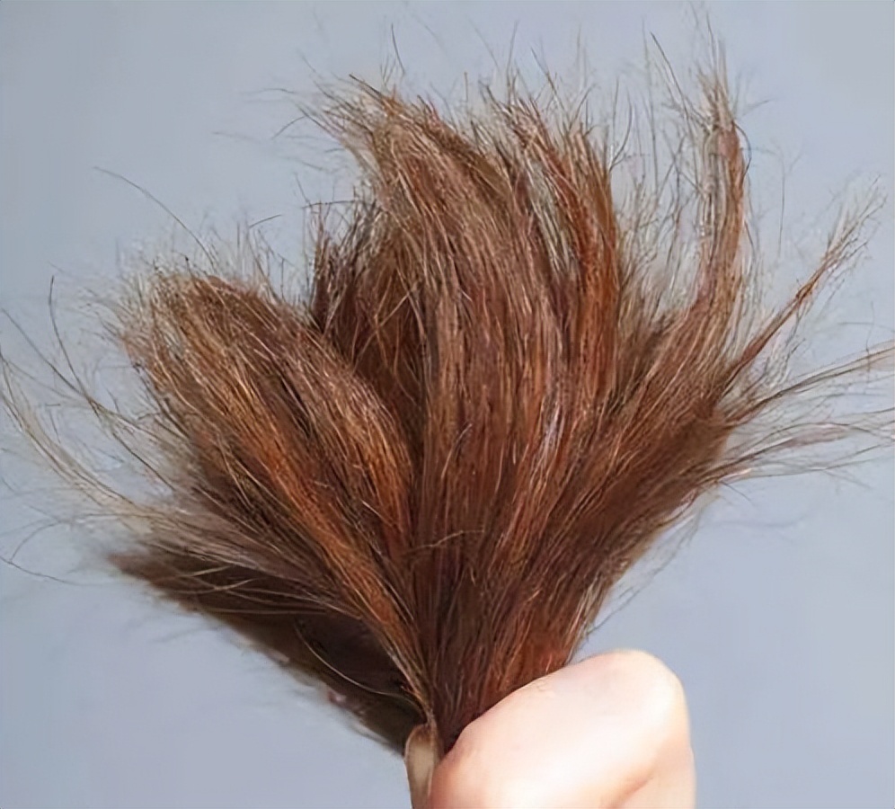 头发怎么看健康状况,头发健康的奥秘