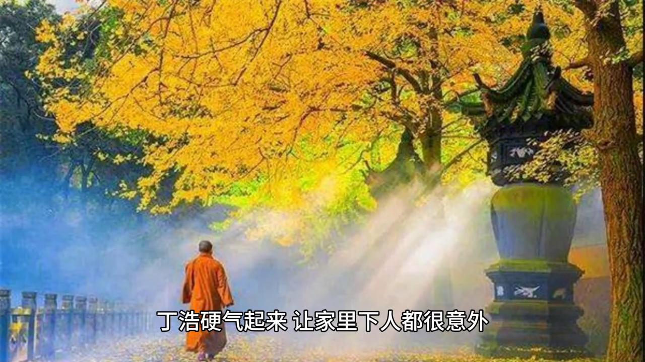 禅悟人生小和尚图片,禅悟人生视频