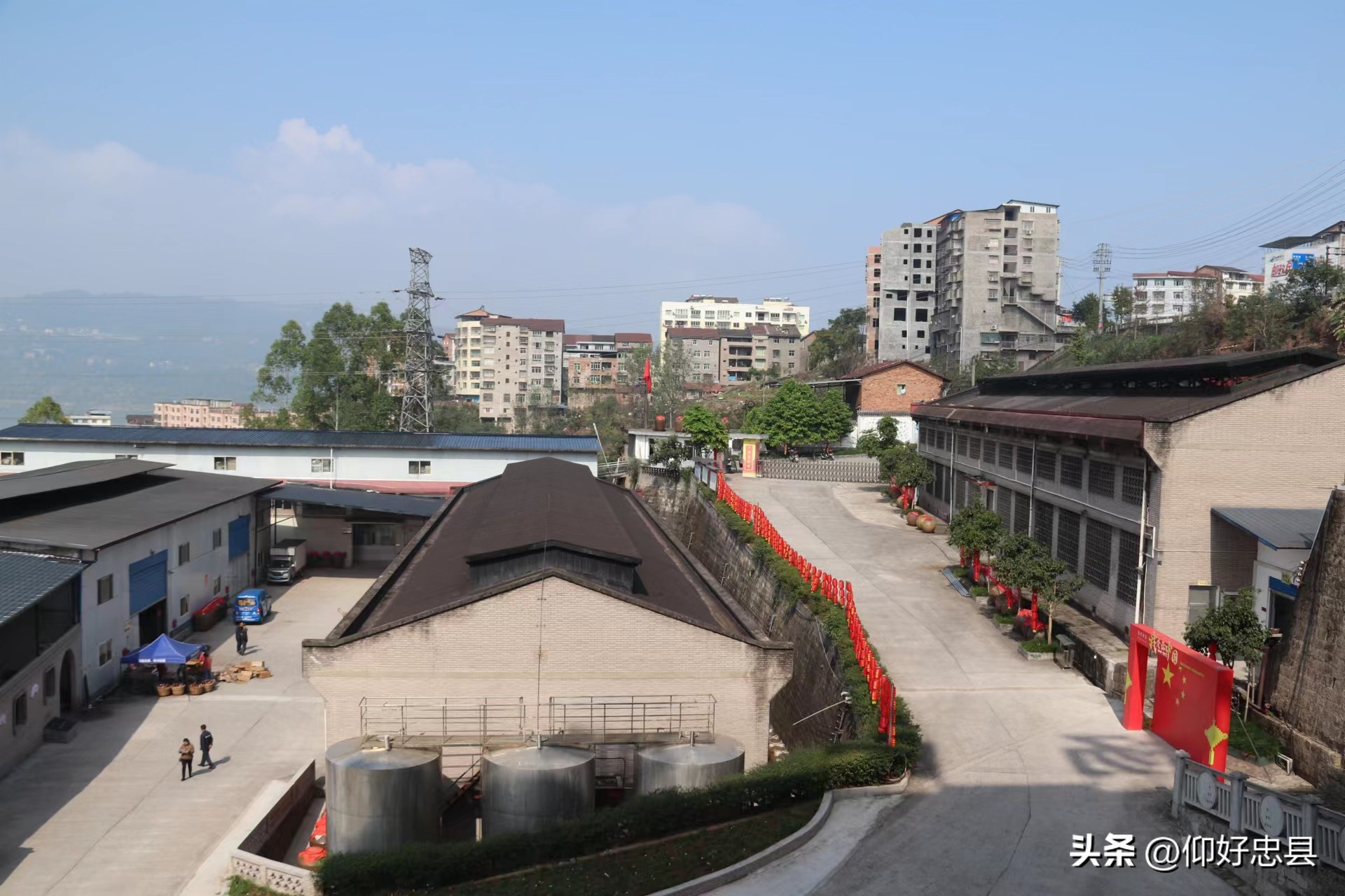 果酒酿酒的新技术,果酒酿造原理及制作方法