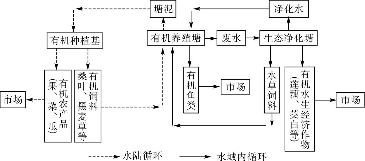 九中寒假作业,南京2023高三期末地理