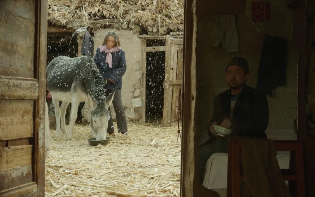 58天，我们见证了一部冷门片的逆袭