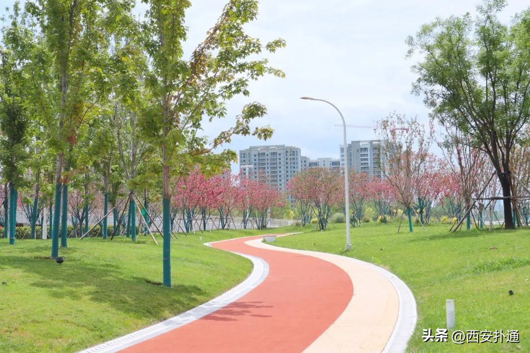 2022西安奥体中心喷泉开放时间,西安奥体中心游泳馆对外开放了吗