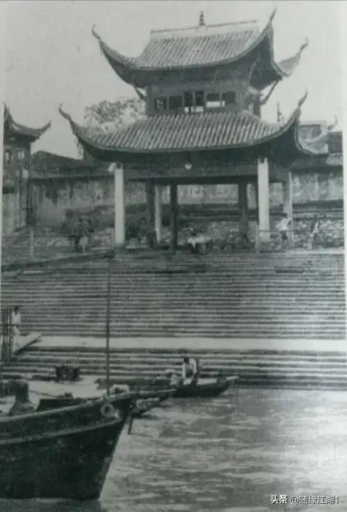 你所不知道的中草药,你不知道的国药秘密