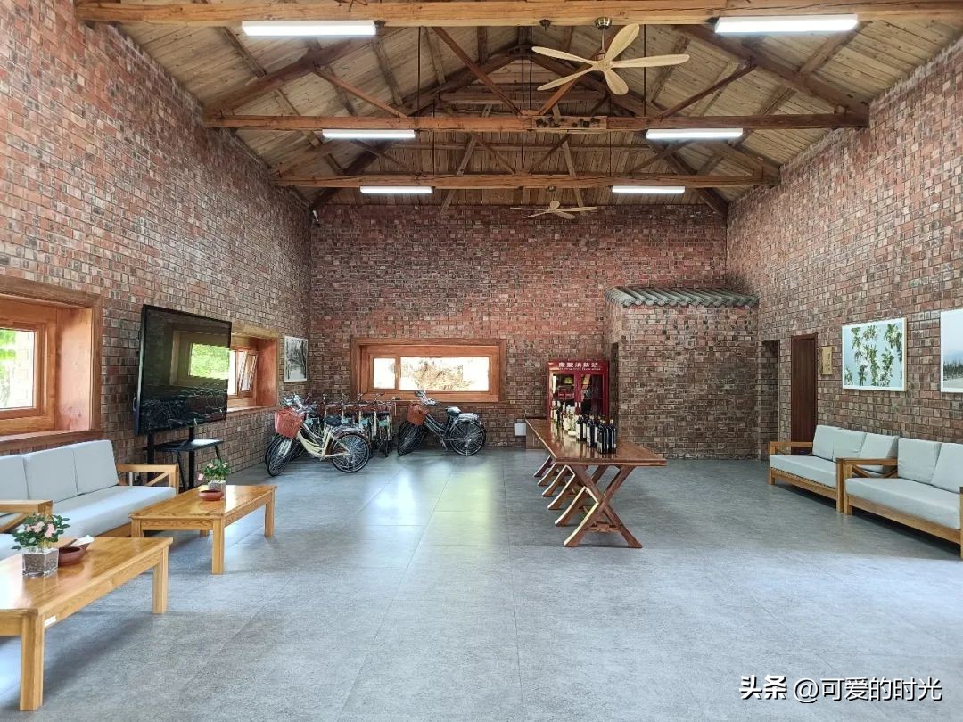 宁夏之旅不虚此行,宁夏之旅影集