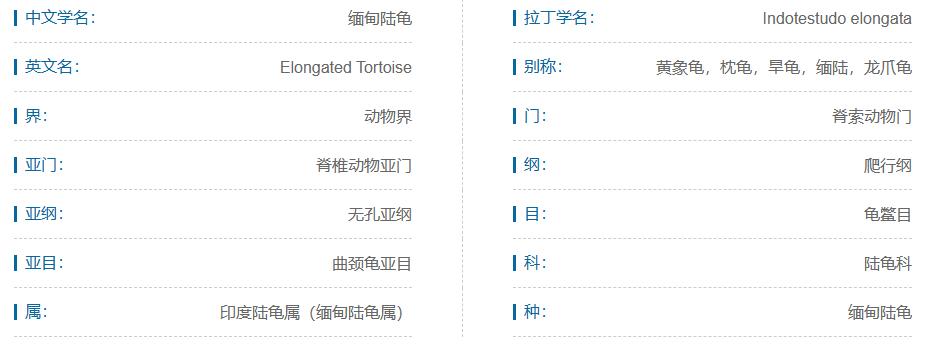 什么宠物对纯素食者最好,好养且可以食用的宠物有哪些