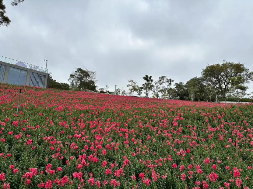 厦门山海健康步道林海线二期地图,厦门健康步道林海线二期正式开放