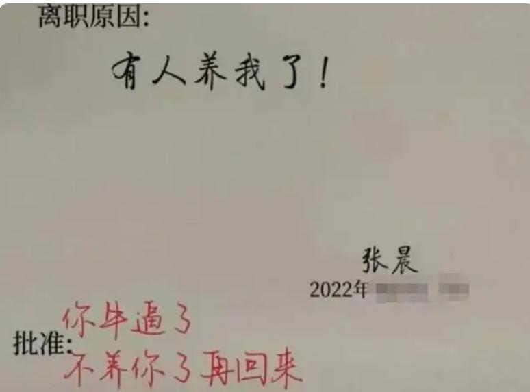 最近很火的一封00后辞职信,00后的辞职信你看懂了吗
