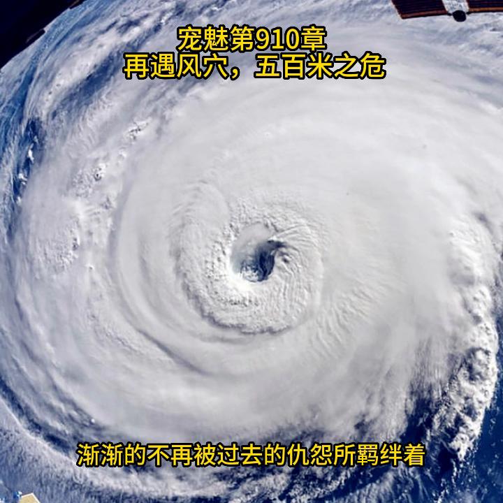 宠魅漫画直播,宠魅漫画免费观看