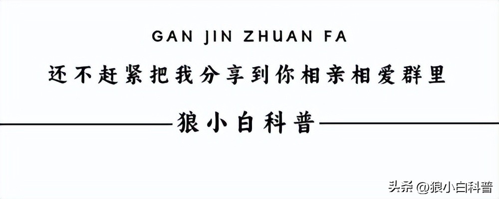 维生素b千万别乱补汤臣倍健,维生素好吸收还是食物好吸收