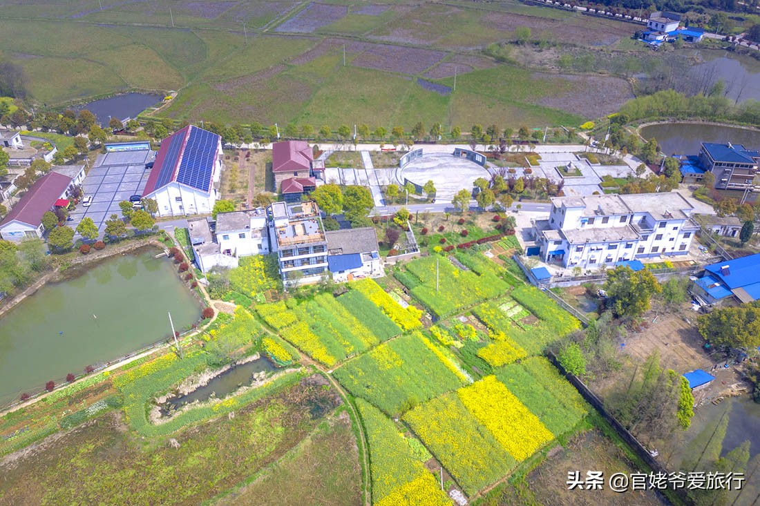 诗人海子珍贵视频,诗人海子经典语录