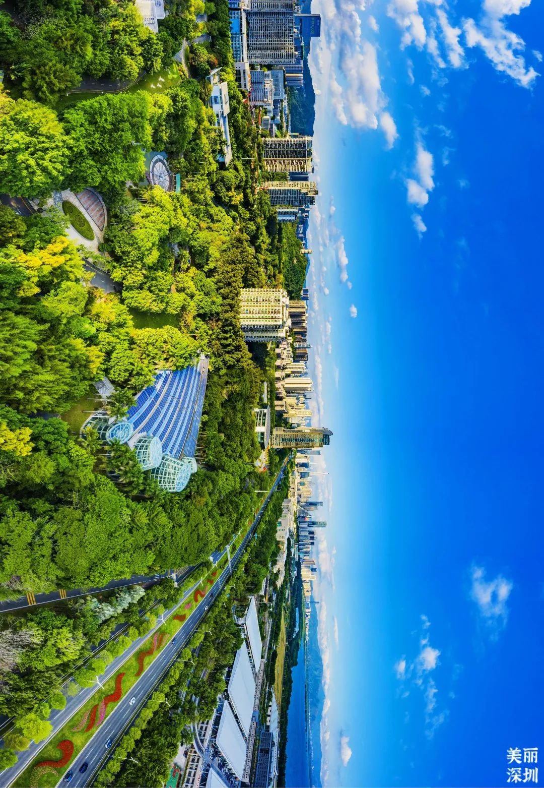 深圳莲花山公园航拍,航拍深圳凤凰山公园