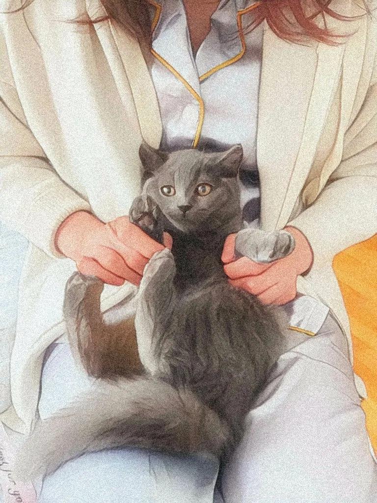 教你把图片变成视频,三分钟教你把图片变文字