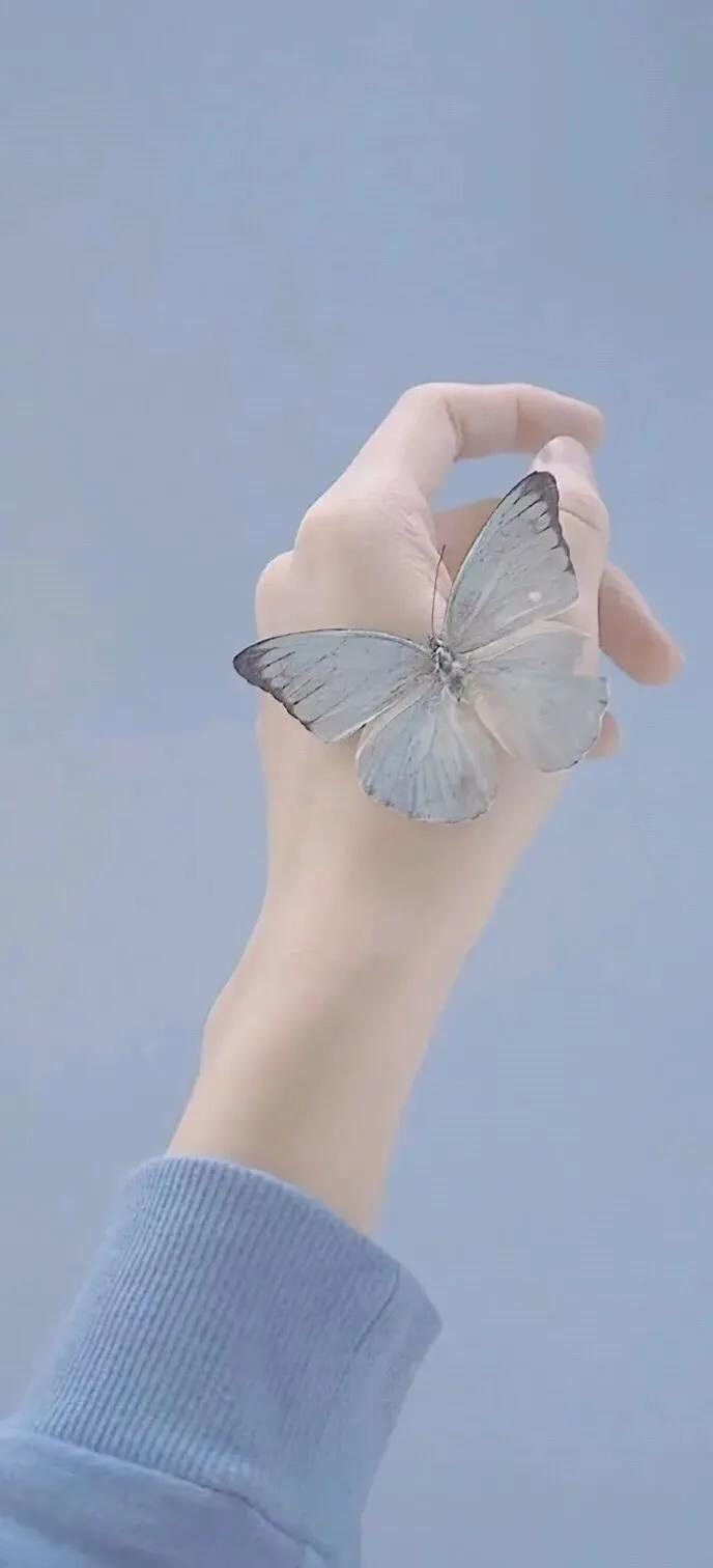 手机壁纸大全超好看动态,壁纸超清4k手机壁纸男生专用