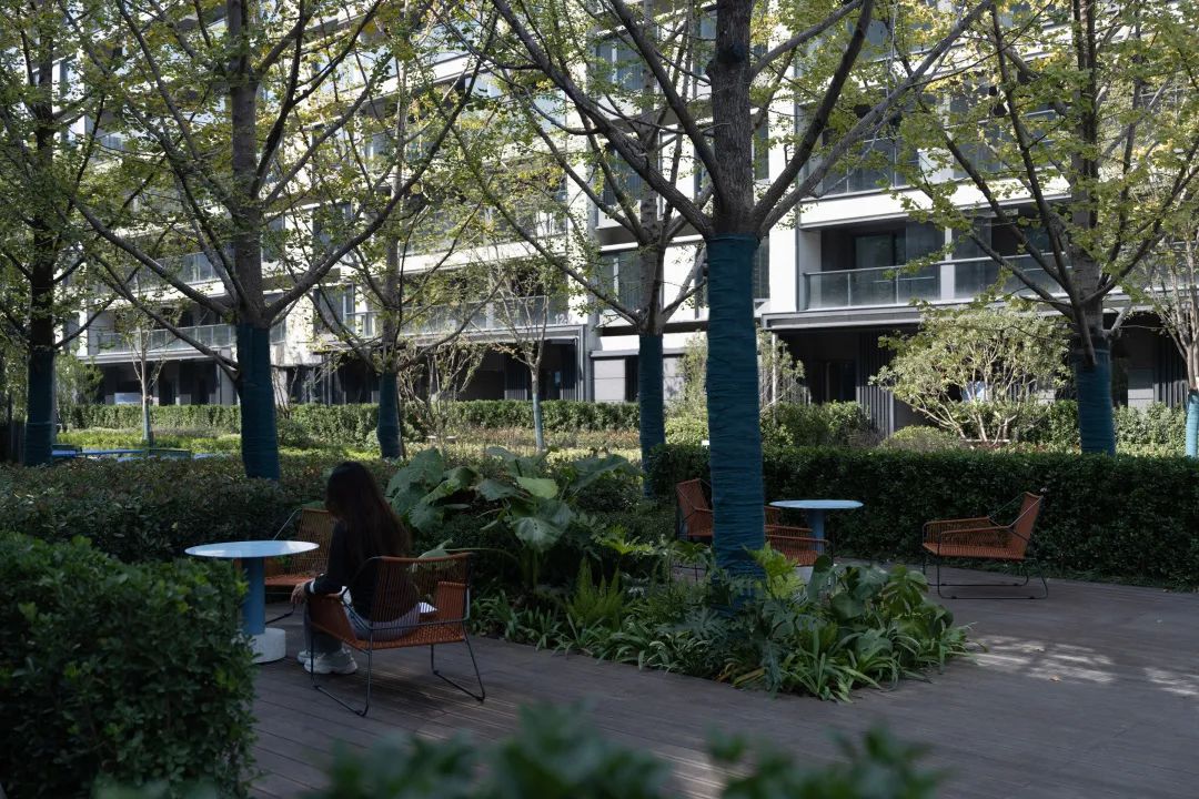 想象TOD社区的丰富可能性|未来天空之城