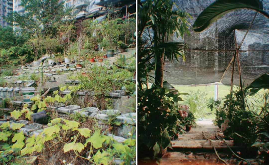 卡塔尔世界杯体育场建设顺利,世界杯结束后的卡塔尔球馆怎么办