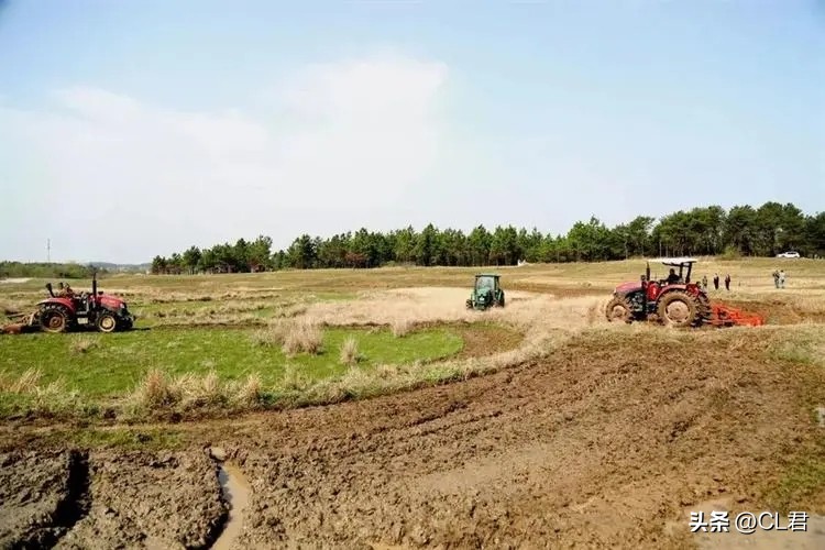 耕地占补平衡一般会出现哪些问题,关于耕地占补新政策占多少补多少