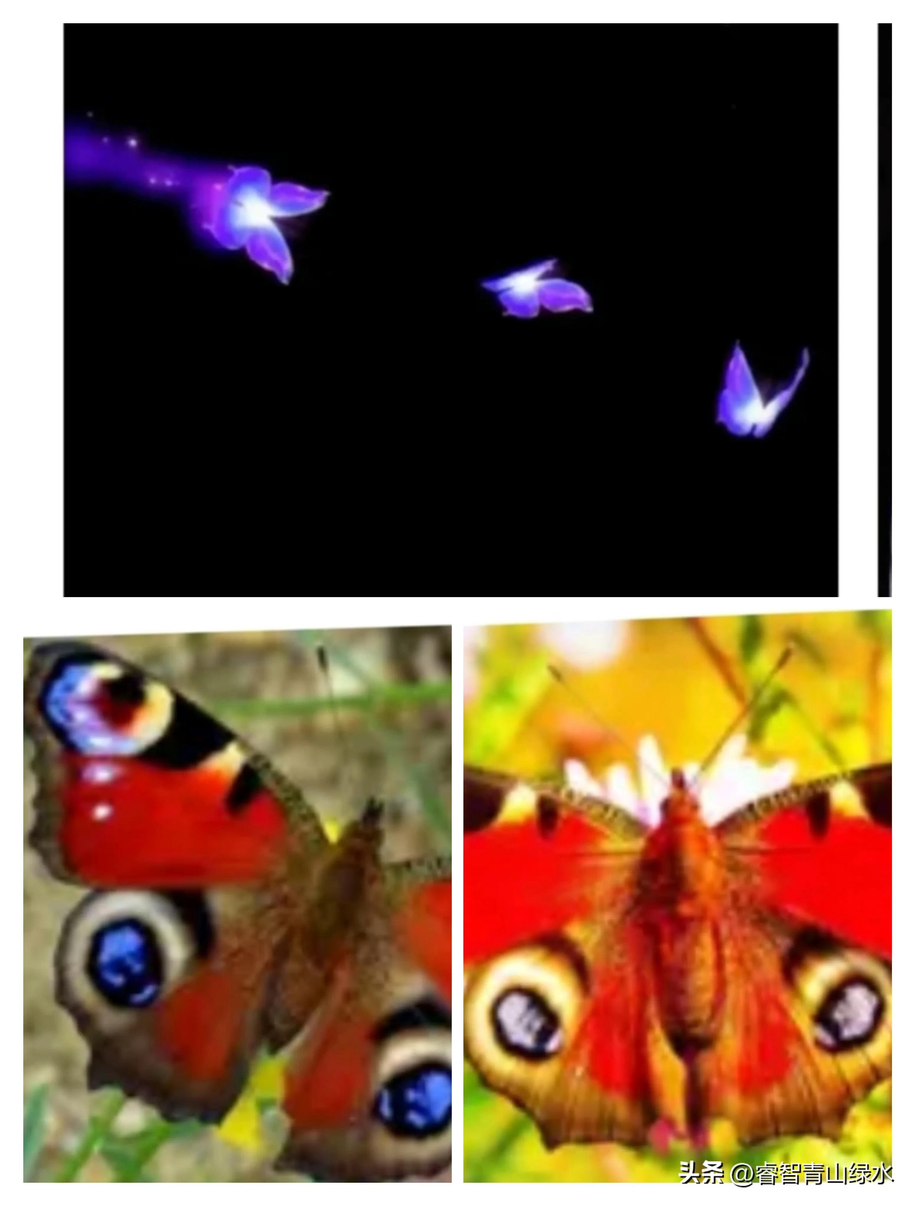 让我痴，让我醉，让我爱你没商量。