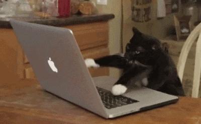 钉钉怎么拉新员工入职,钉钉新员工入职的正确方式