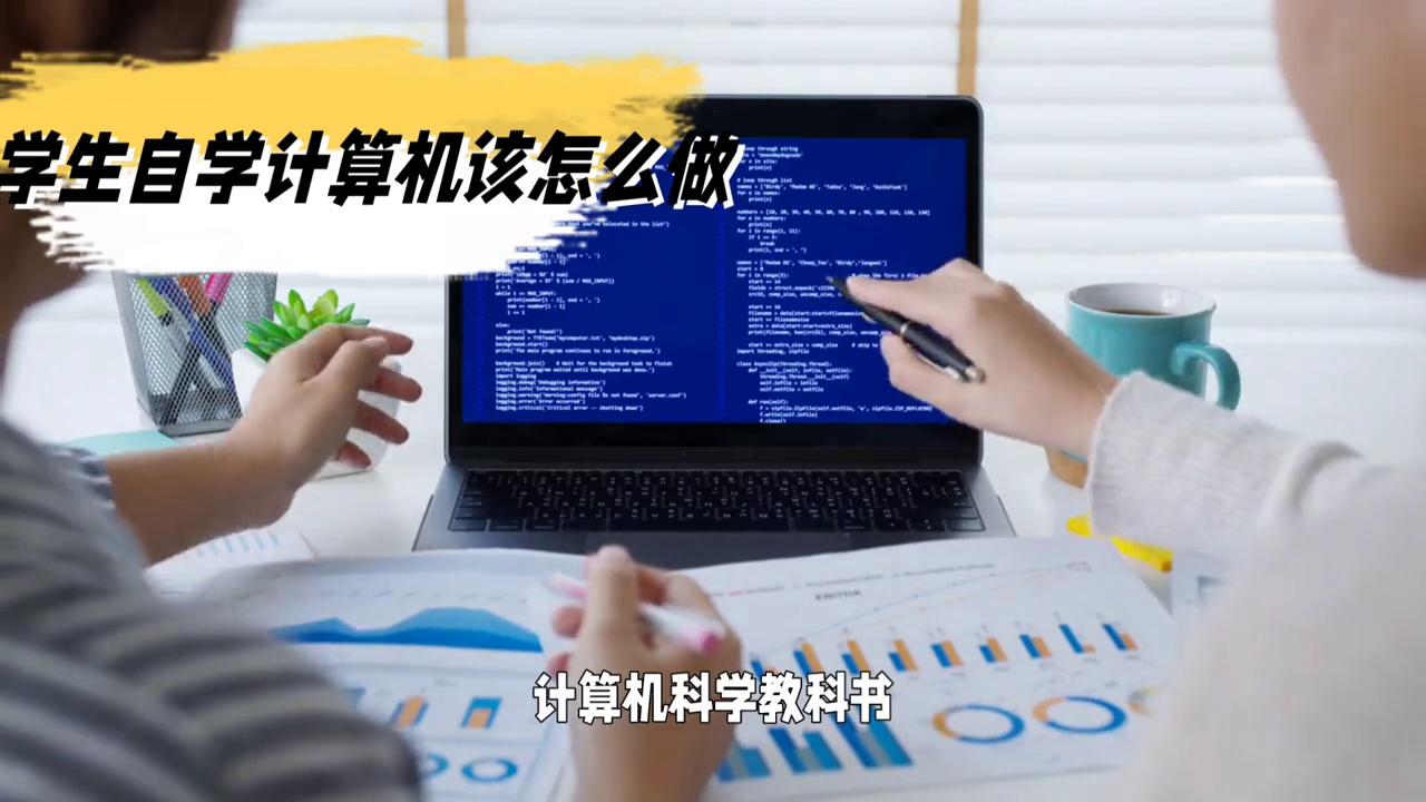 计算机二级零基础自学,计算机编程自学怎么学